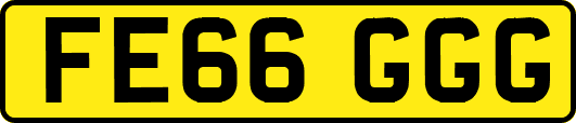 FE66GGG