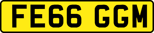 FE66GGM