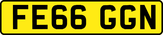 FE66GGN