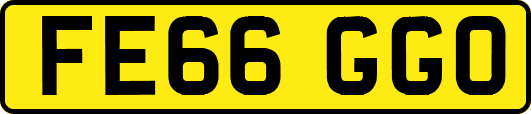 FE66GGO