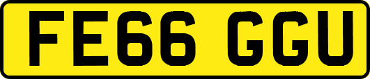 FE66GGU