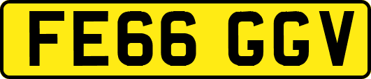 FE66GGV