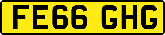 FE66GHG