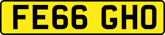 FE66GHO