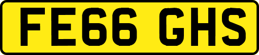 FE66GHS