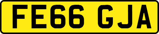 FE66GJA