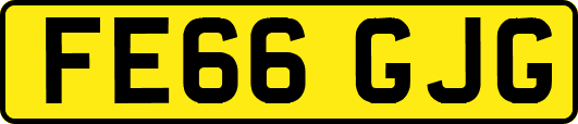 FE66GJG