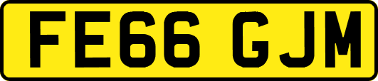 FE66GJM