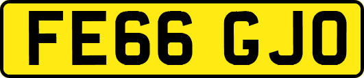 FE66GJO