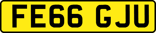 FE66GJU