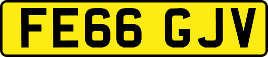 FE66GJV