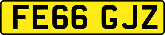FE66GJZ
