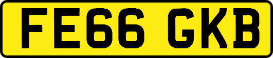 FE66GKB