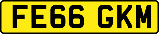 FE66GKM