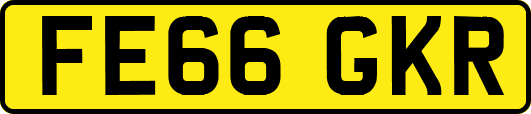 FE66GKR
