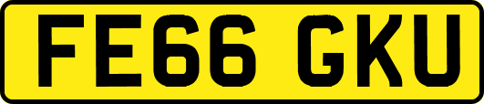 FE66GKU