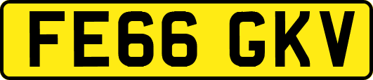FE66GKV