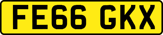 FE66GKX