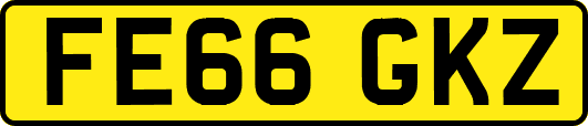 FE66GKZ