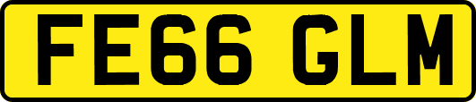 FE66GLM