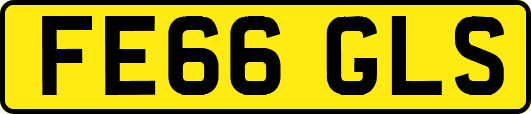 FE66GLS