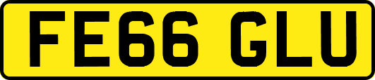 FE66GLU