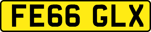 FE66GLX