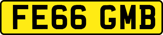 FE66GMB