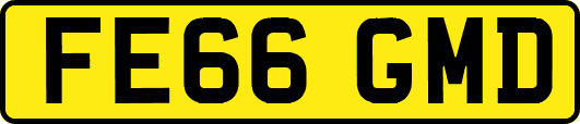 FE66GMD