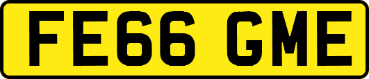 FE66GME