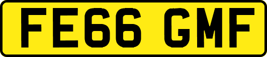 FE66GMF