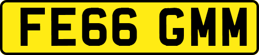 FE66GMM