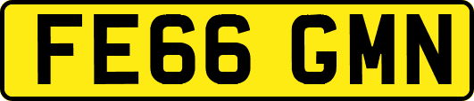 FE66GMN