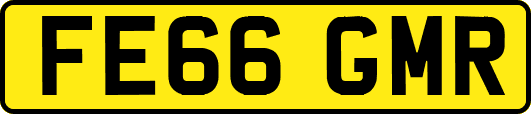 FE66GMR