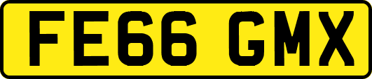 FE66GMX