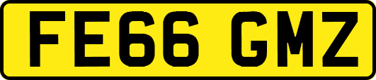FE66GMZ