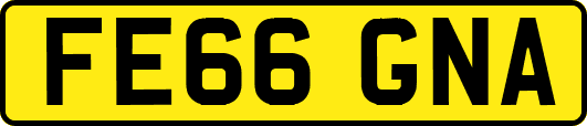 FE66GNA
