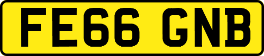 FE66GNB