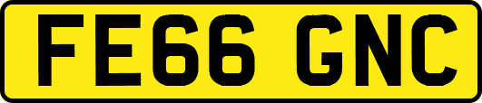 FE66GNC
