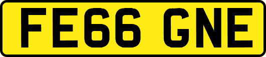 FE66GNE