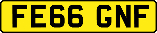 FE66GNF