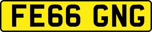 FE66GNG