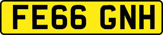 FE66GNH