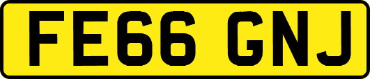 FE66GNJ