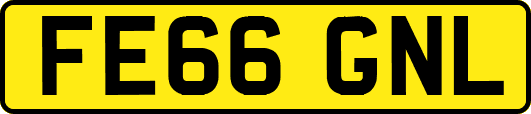 FE66GNL