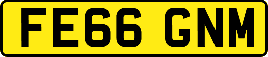 FE66GNM