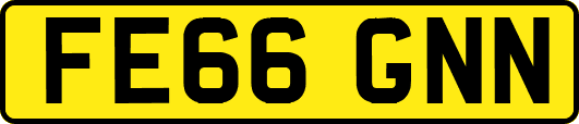 FE66GNN