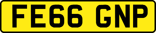 FE66GNP