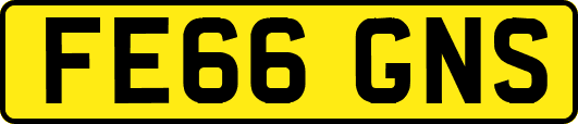 FE66GNS