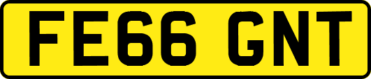 FE66GNT